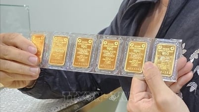 金地金価格は買い方向に200万VND/タエル下落した。