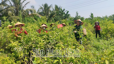 Phát triển các mô hình hợp tác xã của cựu chiến binh, phụ nữ