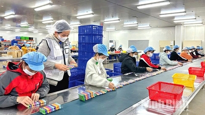 Ninh Bình đẩy nhanh tiến độ điều tra doanh nghiệp để đưa ra chính sách phù hợp thúc đẩy phát triển