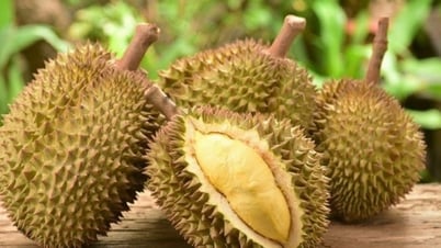 Precio del durian hoy 26 de mayo: El mercado está en alza...