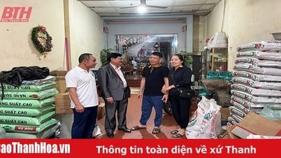 Những bí thư chi bộ, trưởng thôn sống “tốt đời, đẹp đạo”