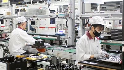 Apoyar activamente y eliminar las dificultades para las empresas.