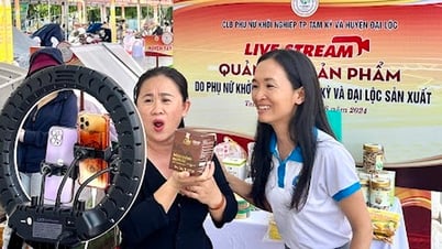 Quang Nam จะจัดหลักสูตรฝึกอบรมและการแลกเปลี่ยนเกี่ยวกับสตาร์ทอัพเชิงนวัตกรรมสำหรับผู้หญิงมากมาย