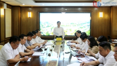 Công bố quyết định, kế hoạch giám sát của Ban Thường vụ Tỉnh ủy