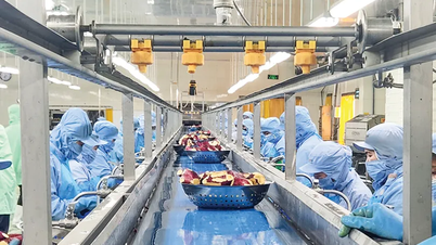 Cần Thơ ban hành kế hoạch phát triển thị trường nông lâm thủy sản năm 2025