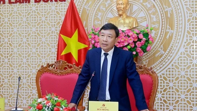 Điều động, bổ nhiệm, phân công cán bộ chủ chốt ở 3 tỉnh