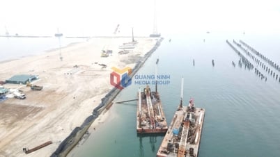 Accélération de l'avancement du projet du port général de Van Ninh