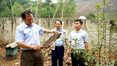 ផ្សព្វផ្សាយគំរូមនុស្សចាស់គំរូ
