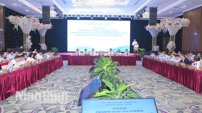 “Định hướng không gian phát triển Hà Nam-Nam Định-Ninh Bình”: Cộng hưởng tiềm năng, kiến tạo động lực mới