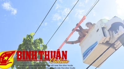 Use electricity economically and efficiently: Ensure stable operation of the power system