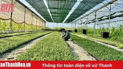 Tưới nước tiết kiệm - “chìa khóa” mở cánh cửa nông nghiệp hiện đại