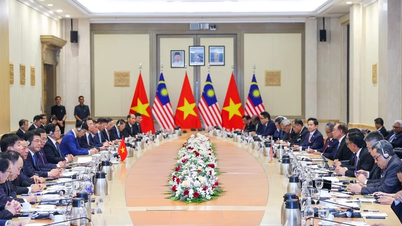Mensaje de la firme determinación de Vietnam y Malasia de cooperar y desarrollar la autosuficiencia y la sostenibilidad
