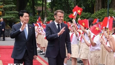 พิธีต้อนรับประธานาธิบดีฝรั่งเศส เอ็มมานูเอล มาครง ขณะเยือนเวียดนามอย่างเป็นทางการ