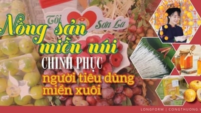 ទម្រង់វែង | កសិផលលើភ្នំយកឈ្នះអ្នកប្រើប្រាស់ដីទំនាប | កាសែតឧស្សាហកម្ម និងពាណិជ្ជកម្ម