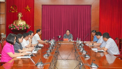 Thường trực Thành ủy nghe báo cáo, cho ý kiến về chủ trương đầu tư thực hiện các Dự án giáo dục