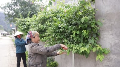 Hữu Lũng: Xanh, sạch nông thôn mới - Báo và Đài Phát thanh Truyền hình Lạng Sơn