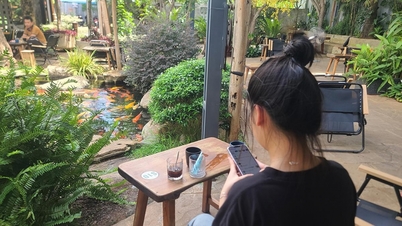 사기 채용 및 장학금 제도에 대한 경고