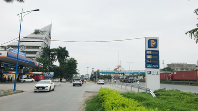 Rào chắn 10 điểm đấu nối trái phép từ đường gom Hoàng Ngân, An Định ra quốc lộ 5