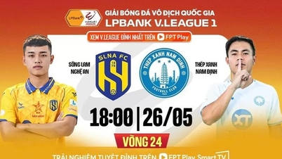 Nhận định Sông Lam Nghệ An vs Thép Xanh Nam Định, 18h00 ngày 26/5: Nhà vua chờ đăng quang