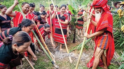 Lễ hội A Pier - khúc hát trỉa lúa