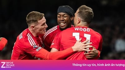 «Ноттингем Форест» вышел в Кубок европейских чемпионов спустя почти 3 десятилетия