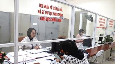 Trình Chính phủ chế độ, chính sách hỗ trợ người hoạt động không chuyên trách ở cấp xã trước 30-5