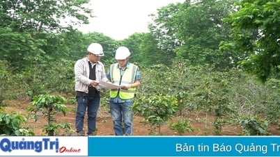 Huong Hoa: Will forcibly reclaim land to build a 2,100 billion VND wind power plant