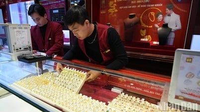 Precio del oro el 26 de mayo: los lingotes de oro SJC siguen bajando a 120 millones de VND/tael