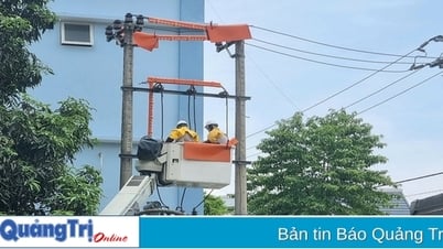 산업 안전 및 위생에 대한 행동의 달의 효과
