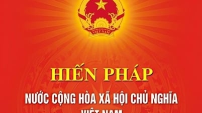 Ministry of Industry and Trade deploys comments on amending the 2013 Constitution via VNeID