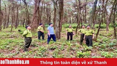 Căng sức giữ rừng mùa nắng nóng