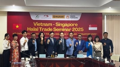 Thúc đẩy phát triển thương mại ngành công nghiệp Halal Việt Nam - Singapore và vươn tới thị trường toàn cầu