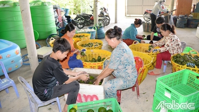 เตี๊ยนซาง: ส่งเสริมสนับสนุนสหกรณ์การเกษตรเพื่อพัฒนาการผลิตและธุรกิจ
