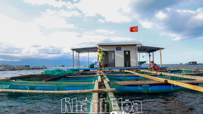Join hands to protect Trao Reef