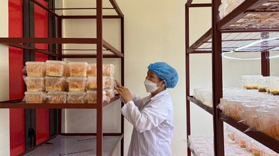 Nouvelle zone rurale de Hoa Binh : accélérer sur des bases solides