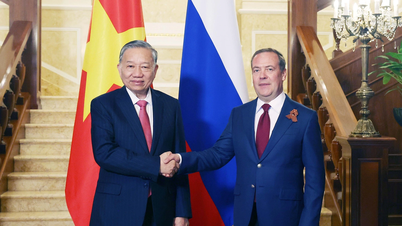 Tổng Bí thư Tô Lâm hội kiến Chủ tịch Đảng Nước Nga Thống nhất Dmitry Medvedev