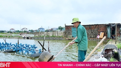 ชาวฮาติญห์รณรงค์ป้องกันโรคกุ้งหลังฝนตกหนัก