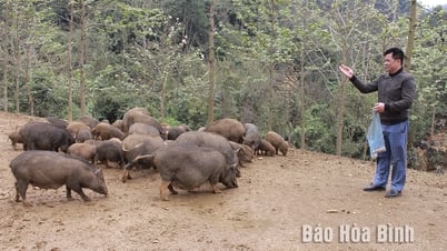 Cambio en el desarrollo económico en la comuna de Ngo Luong