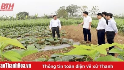Đi trước, đón đầu trong định hướng dư luận xã hội