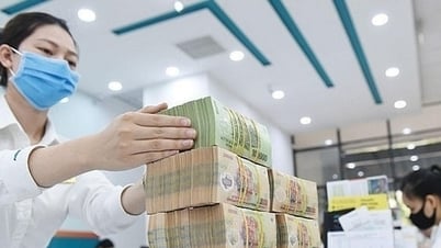 Tháo gỡ rào cản pháp lý, thúc dòng vốn xanh...