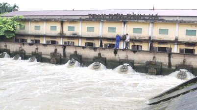 Binh Luc responde de forma proactiva a las inundaciones durante la temporada de cultivo