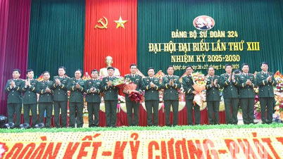 Постоянный комитет партийного комитета 4-го военного округа дал указание провести партийный съезд 324-й дивизии с большим успехом.