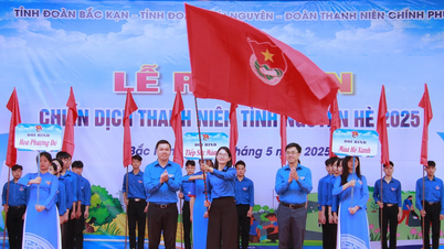 Chiến dịch Thanh niên tình nguyện Hè 2025: Lan tỏa yêu thương, sẻ chia trách nhiệm