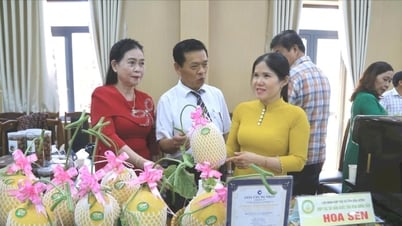 Đắk Nông liên kết, nâng tầm sản phẩm kinh tế tập thể