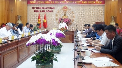 Họp thống nhất Dự thảo Đề án Quy hoạch quảng cáo ngoài trời trên địa bàn tỉnh
