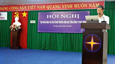 EVNGENCO1: Triển khai hiệu quả công tác bảo vệ môi trường, hướng tới mục tiêu phát triển bền vững của ngành điện lực Việt Nam