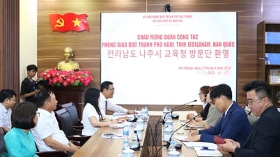 Thành phố Hải Phòng và thành phố Naju (tỉnh Jeollanam, Hàn Quốc) thúc đẩy hợp tác giáo dục đổi mới và hội nhập quốc tế