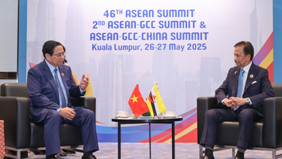 Việt Nam phối hợp, chuẩn bị cho chuyến thăm của Quốc vương và Hoàng hậu Brunei