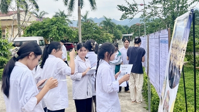 Over 300 students, university students and workers participated in the job fair in Yen Thuy district.