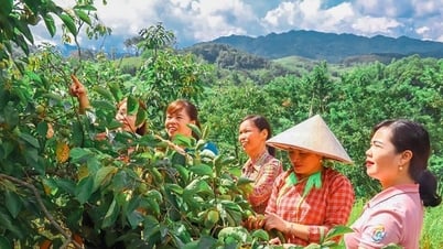 ランソンの女性たちの貧困脱出物語